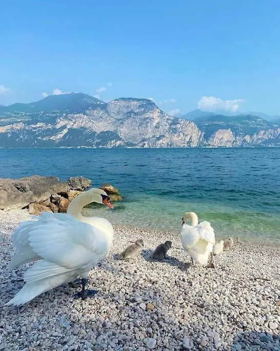 Appartamento Con Vista Lago Casa Gaspar 브렌조네 술 가르다 아파트
